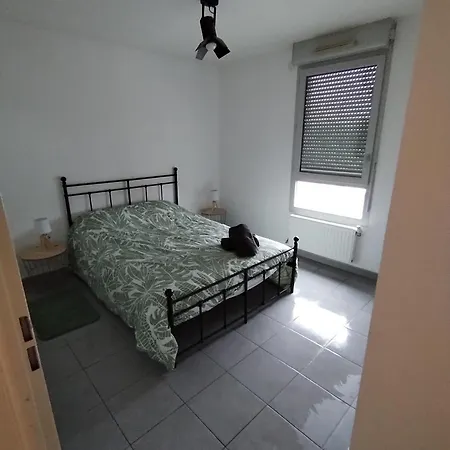Cosyf4 * Tolosa