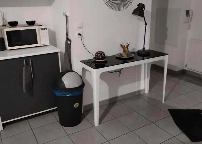 Cosyf4 Apartament Tuluza